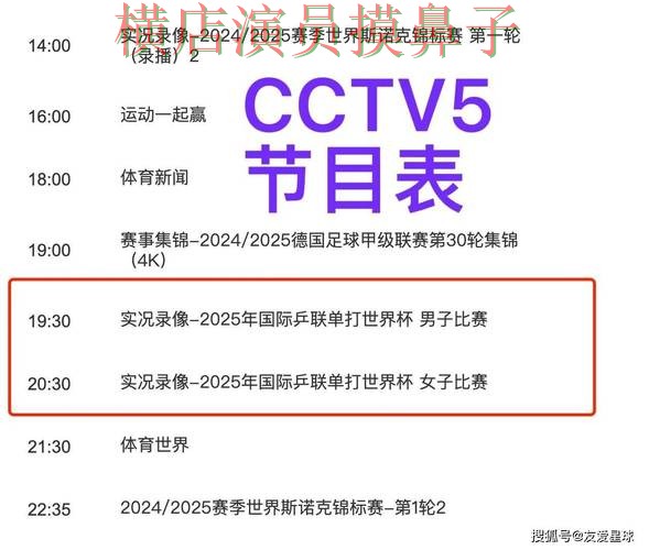 世界杯直播期间热门世界杯买球平台盘点分析与平台排行分析